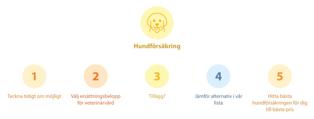 Illustration visar Försäkrats bästa tips vid val av hundförsäkring