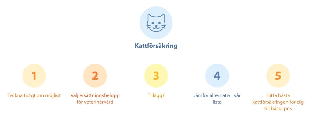 Illustration visar Försäkrats bästa tips vid val av kattförsäkring