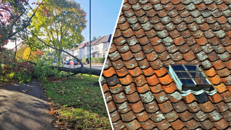 Efter stormen Boelo – så anmäler du skadan på hus och bil