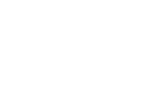 SafetyWing